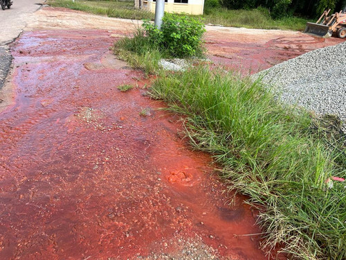 WhatsApp Image 2022 11 18 at 10.45.30 AM.jpg