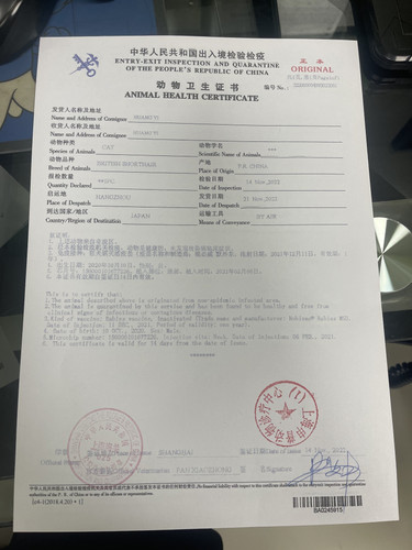 guoguo copy.jpg