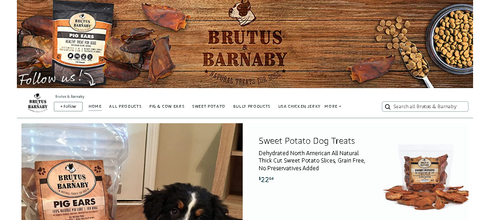 Brutus & Barnaby.png
