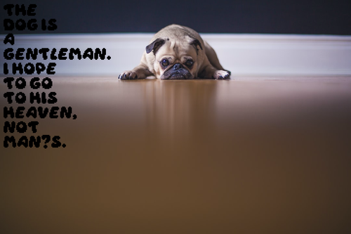 e90939563d01.png