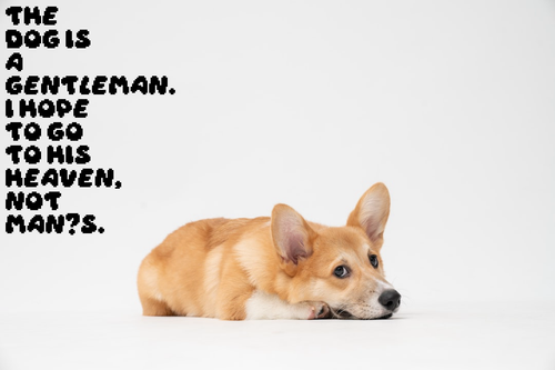 377a5b937a6e.png