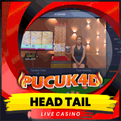 HEAD TAIL.gif