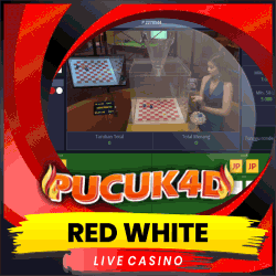 RED WHITE.gif