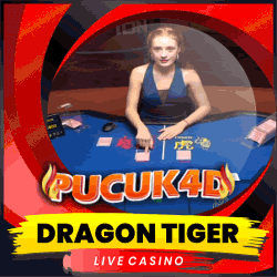 DRAGON TIGER.gif