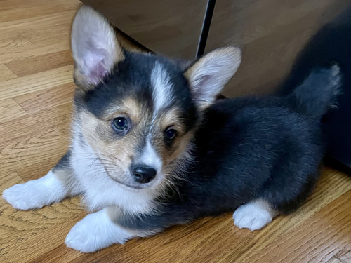 0C9A549F 2615 4D2B BE1A 7D5AEF81AA8D.jpg