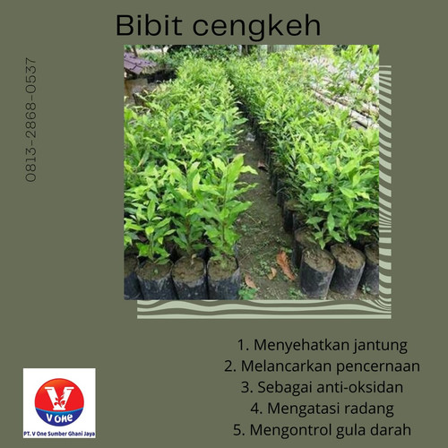 WhatsApp Image 2022 11 17 at 19.12.32.jpg