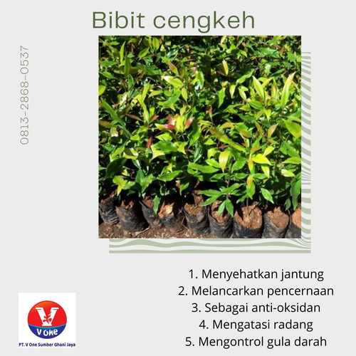 WhatsApp Image 2022 11 17 at 19.12.31.jpg