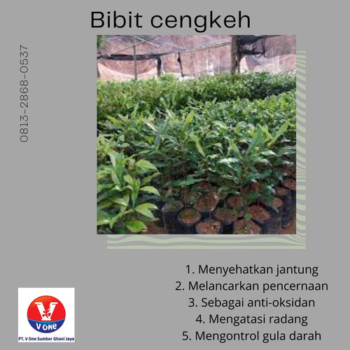 WhatsApp Image 2022 11 17 at 19.12.33.jpg