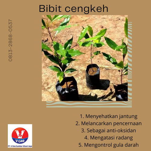 WhatsApp Image 2022 11 17 at 19.12.32 (1).jpg