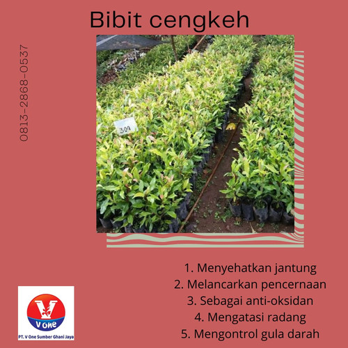 WhatsApp Image 2022 11 17 at 19.12.33 (1).jpg