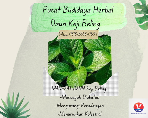 desain daun keji 24.png