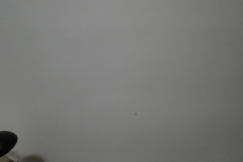 L1000365.jpg