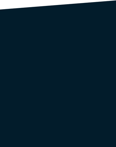 bzvz.png