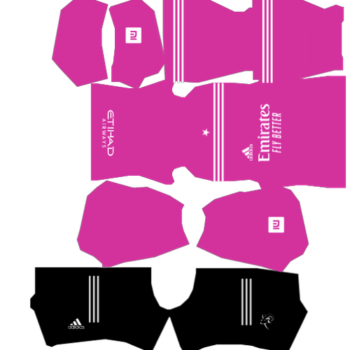 Shirt DLS 21 (1).png