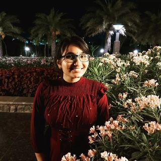 279784441 371768504725626 4082193500063390706 n.jpg