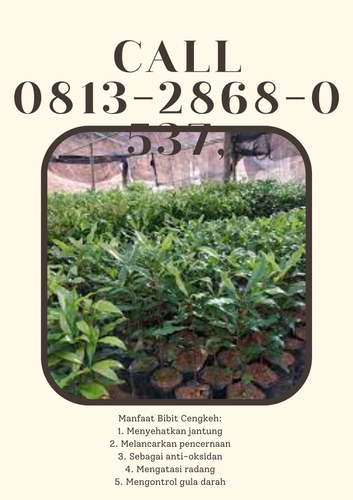 png 20221115 180730 0000.png