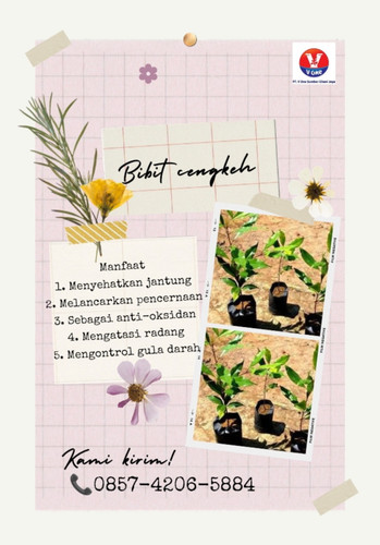 IMG 20221115 175759.jpg