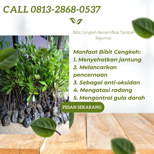 IMG 20221116 064153 076.jpg