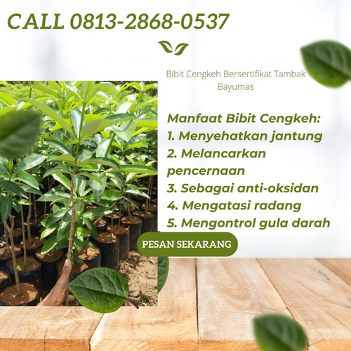 IMG 20221116 064211 139.jpg