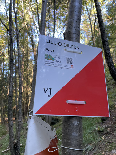 AE6ED0AD 0F6D 4995 9F91 29ECC86F9312.jpg