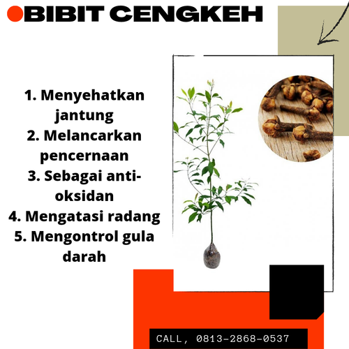 20221114 115545 0000.png