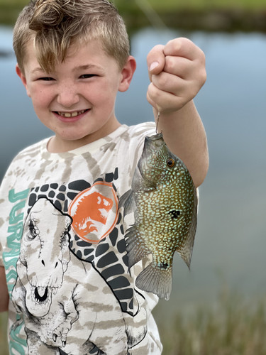 4F623B73 A693 4BEF 9C1E B6E5A8A79E5A.jpg