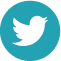 Twitter xs.png