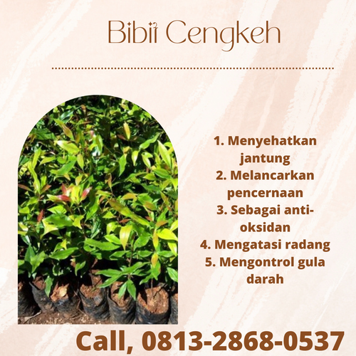 png 20221114 115225 0000.png