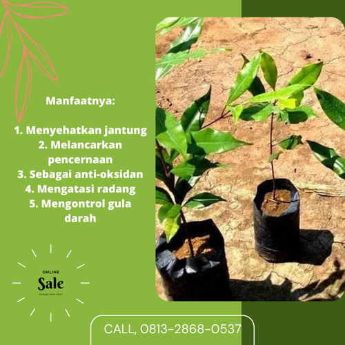 png 20221114 114810 0000.png