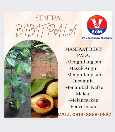 IMG 20221114 151617.jpg