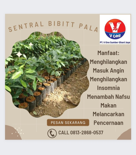 IMG 20221114 102516.jpg