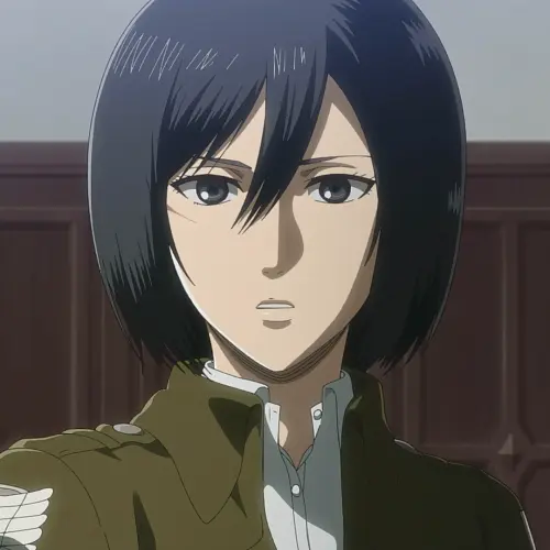 Mikasa Ackermann %28Anime%29 character image %28850%29.webp