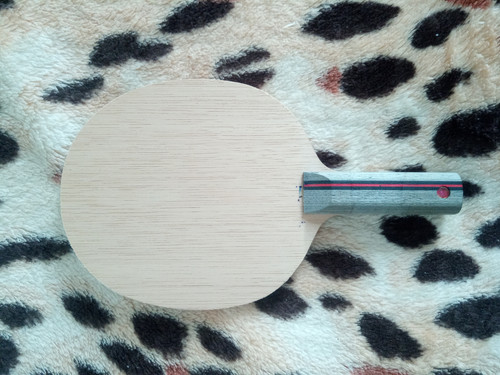 IMG 20221119 101024 6.jpg