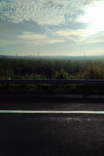 IMG 20221112 0701111 2.jpg