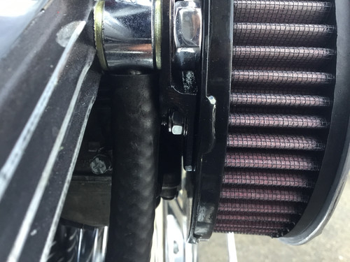 F575BCED 8C9D 4329 823D 1C2DF1368A59.jpg