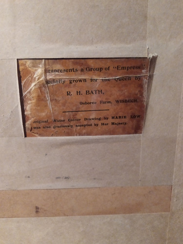 IMG 20221115 095929.jpg