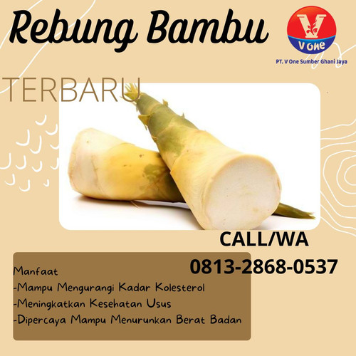 Pusat Budidaya Herbal Rebung Bambu Baru Tambak Bayumas.jpg