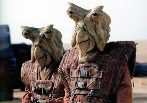 Ishi Tib.jpg