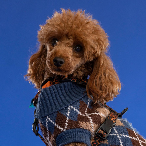 D16A9F9F 7B5A 402C 9007 41A03476613E.jpg