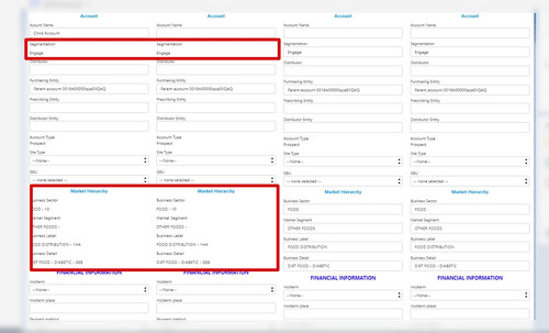 Child Account Salesforce Google Chrome.jpg