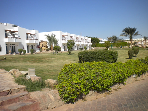 DSCN4913.jpg