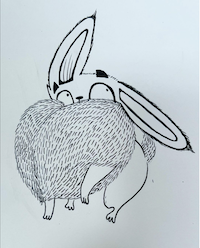 bunny.png