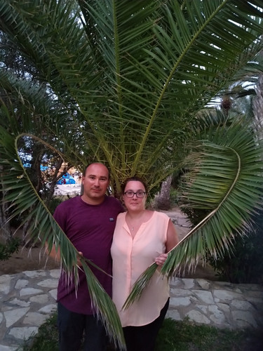 IMG 20180706 195254.jpg