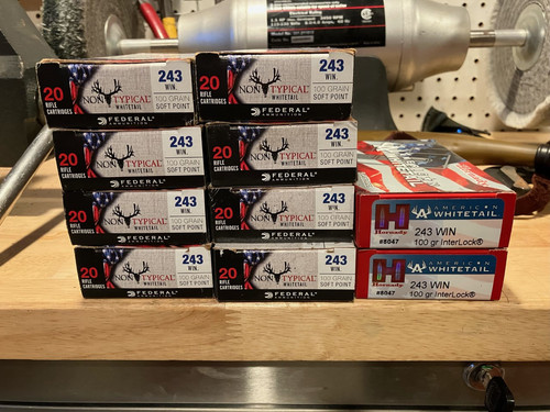 Cartridges.jpg