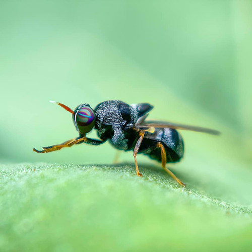 271489886 4853981108001466 4973341260895357016 n.jpg