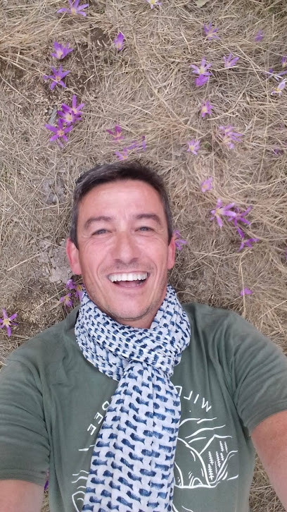 5f4864e5 97b0 4375 b8f5 c93d56fbcfd7.jpg