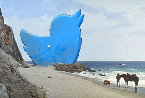 capture.jpg