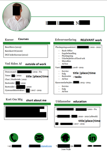 applicantion CV.png