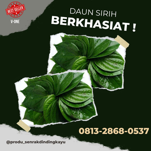 daun sirih 2.jpg