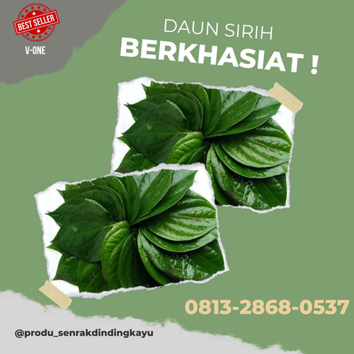 daun sirih 4.jpg